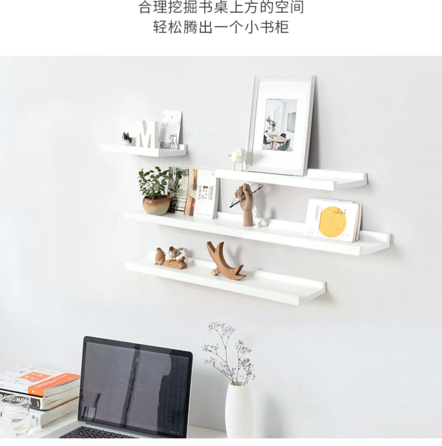 Wall Mounted Floating Shelves