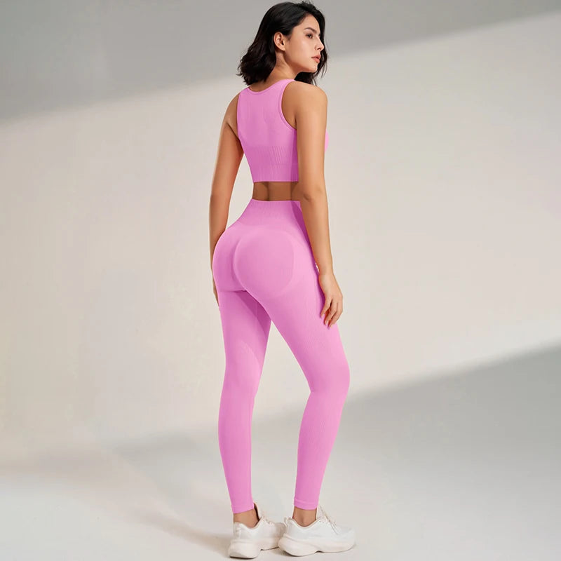 Seamless Two Piece gym set