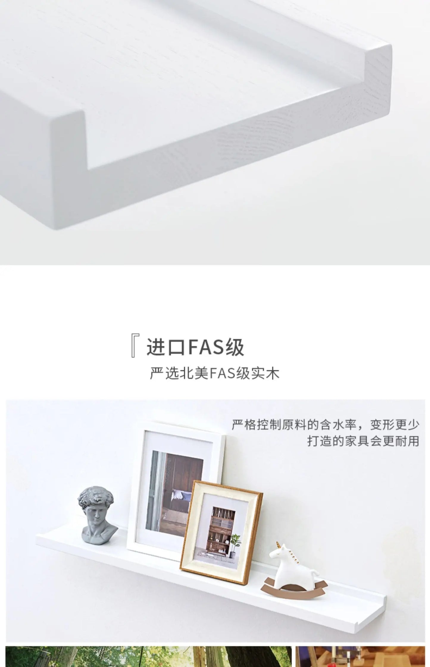 Wall Mounted Floating Shelves